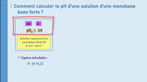 C5-Vidéo C5-12_pH monobase forte.mp4