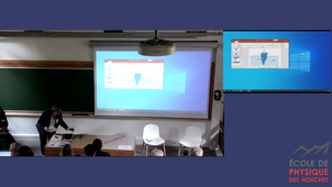 V. Michaux, E. Lanzi