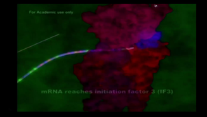 Ada Yonath_Résistance aux antibiotiques et préservation du microbiome
