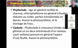 Archivé 2025-06-14 Cours n1 L1 BV Mercredi 03 février 8472