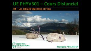 PHYV301 Cours Distanciel - 02 - Les cellules végétales et l'eau