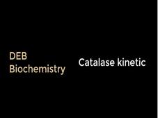 Catalase kinetic movie