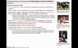 CN4-1 ControleMoteur-SystemesSensoriels-2