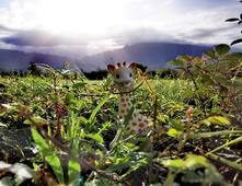 REGU601 TP Distanciel - Coup dur pour le Koudou - Documentaire