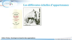 La dimension collective au travail : Bonus - Les différentes éhelles d'appartenance