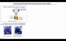 Signalisation -2 25-1-2022