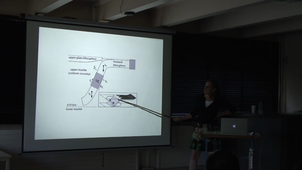 Leigh ROYDEN : Pre- and Post-Collisional Convergence in the Himalayan Orogen