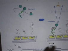 Les biopuces à ADN (A. Fuchs) - 2002