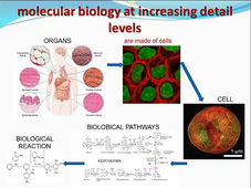 VISIONAIR : Model Base System Biology