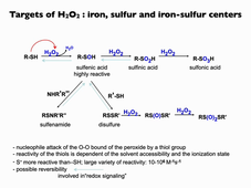 Oxydative stress I- 2026-part I.m4v