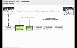 CN4-2 ControleMoteur-DialoguePerception-Action