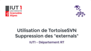 IUT1-RT > GestProj > TortoiseSVN - Suppression externals