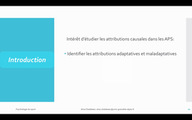 N1_Psycho_CN3-1_Attributions_1_AC