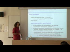 26. Extraction de galaxies très faibles dans les observations hyperspectrales MUSE : une approche objet non supervisée