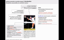 CN4-1 ControleMoteur-SystemesSensoriels-1