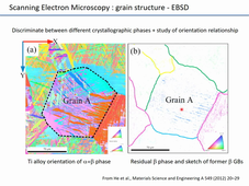 Phelma Preo SIM Caractérisation