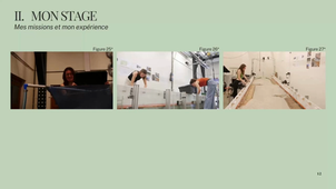 REX_Stage_Lapierre_Alizée_juin_2025.MP4