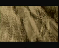 The Corporation Extract3.mpg