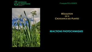 REGU301 - CM - Chapitre 7 - Réactions photochimiques