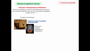 CM2_NeurosciencesFondamentales