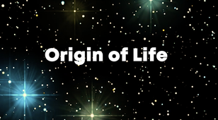 GRESEC - Projet Origin of life