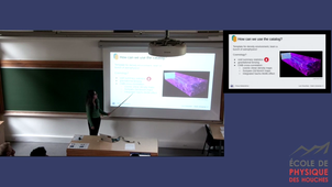 2025_07_15_16_31_Rosa Malandrino