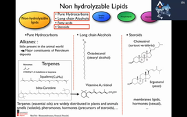 Lipides et membranes part 1