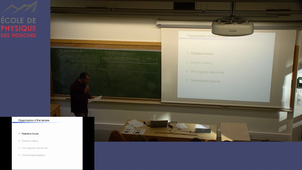 Pereira dos Santos  #1