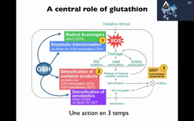 O2 chemistry-glutathion