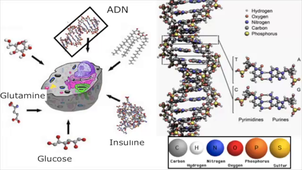 À la recherche d'autres planètes habitables : la vie sur terre (3-1)