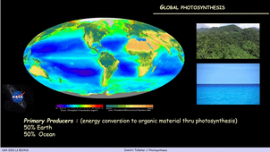 CM Photosynthese - Part1