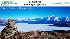 PHYV401 CM Distanciel 02 - Les feuilles, siège de la photosynthèse
