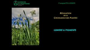 REGU301 - CM - Chapitre 6 - Lumière & Pigments