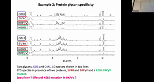NMR and STD